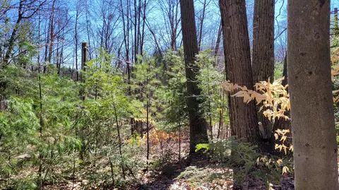 947 W Locust St, White Cloud, MI 49349 photo 21