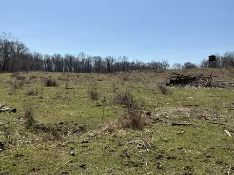 Vl Wellman Rd, Parma, MI 49269 photo 3