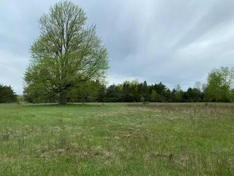 3878 E 2 Mile Rd, White Cloud, MI 49349 photo 4
