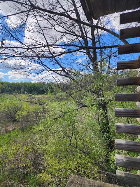 12 Mile Rd, Ceresco, MI 49033