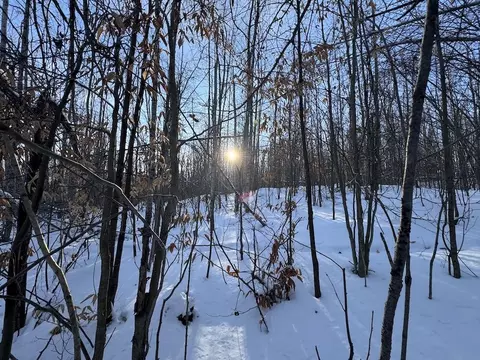 80 Acres Galbrith Rd, Mio, MI 48647