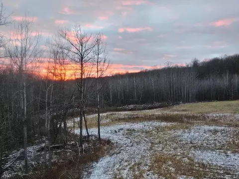 72 W Acres W Miller Rd, Mio, MI 48647