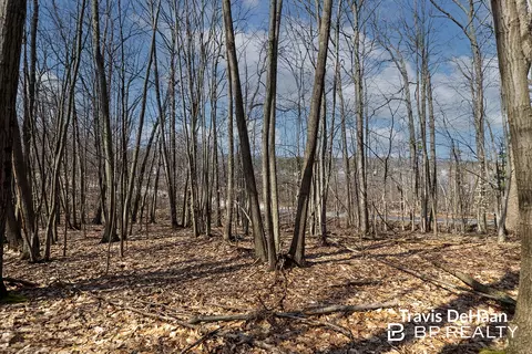 9310 S Benjamin Dr, Newaygo, MI 49337 photo 6