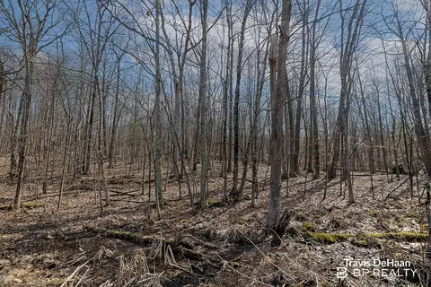 9310 S Benjamin Dr, Newaygo, MI 49337 photo 10