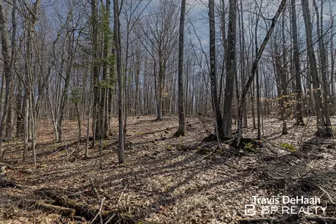 9310 S Benjamin Dr, Newaygo, MI 49337 photo 2