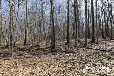 9310 S Benjamin Dr, Newaygo, MI 49337 photo 8