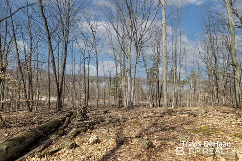 9310 S Benjamin Dr, Newaygo, MI 49337 photo 3