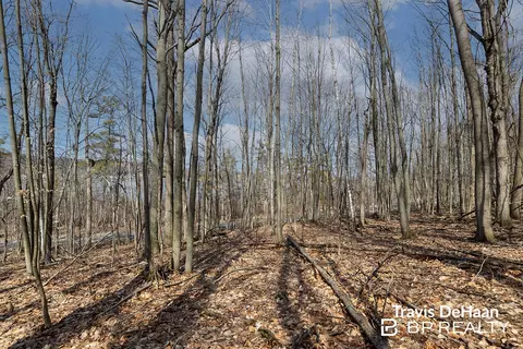 9310 S Benjamin Dr, Newaygo, MI 49337 photo 5