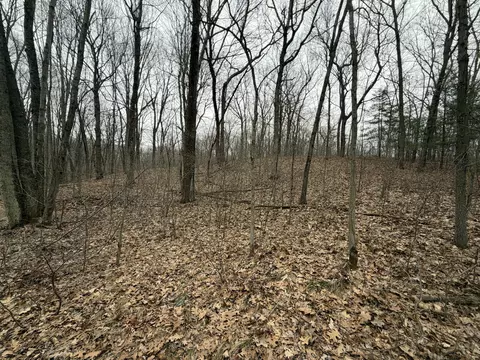 0 Wheat Ln, Lowell, MI 49331 photo 2