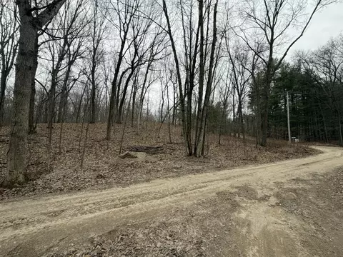 0 Wheat Ln, Lowell, MI 49331 photo 10