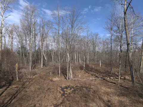 15726 30th Ave, Remus, MI 49340 photo 23