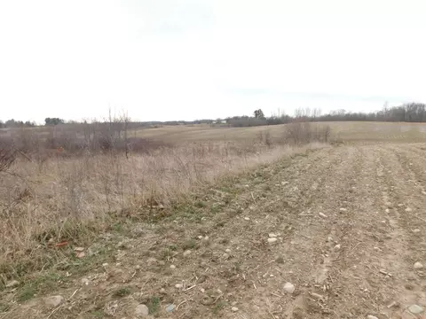 Cox Road, Bellevue, MI 49021 photo 3