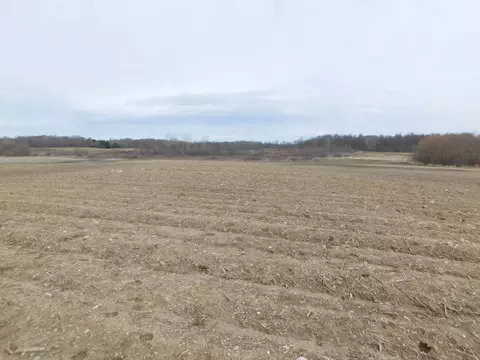 Cox Road, Bellevue, MI 49021 photo 8