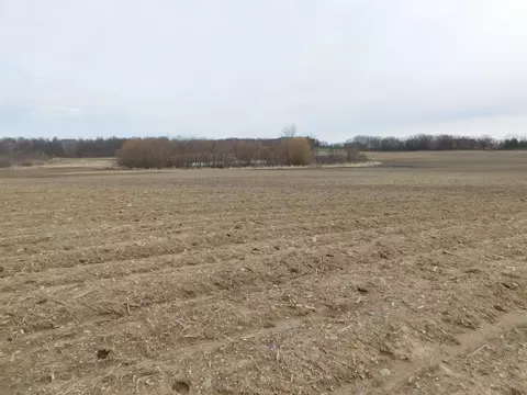 Cox Road, Bellevue, MI 49021 photo 10