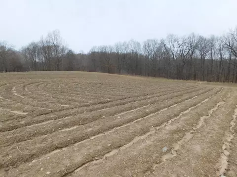 Cox Road, Bellevue, MI 49021