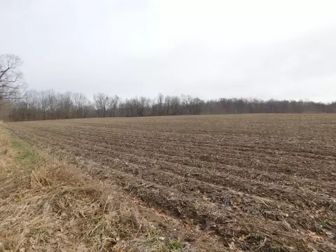 Cox Road, Bellevue, MI 49021 photo 6