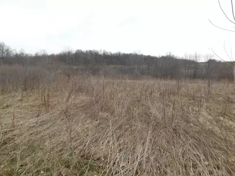 Cox Road, Bellevue, MI 49021 photo 2