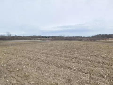 Cox Road, Bellevue, MI 49021 photo 9