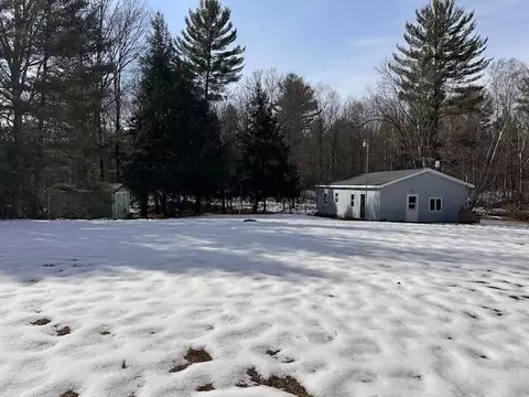 11071 N Gladys Ln, Irons, MI 49644
