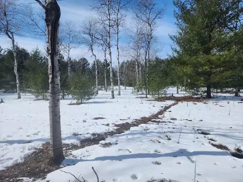 Hall Creek Road, Interlochen, MI 49643