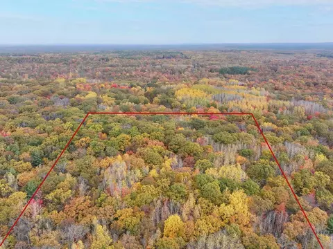 11643 N Willow Rd, Bitely, MI 49309