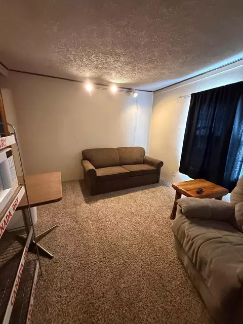 28981 W M-28, Eckerman, MI 49728 photo 9
