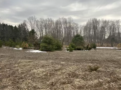 Quarter Line Rd, Manistee, MI 49660