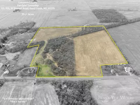 W Weston Road, Sand Creek, MI 49279