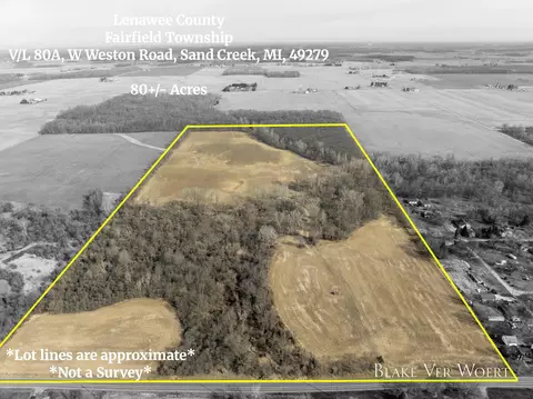 W Weston Road, Sand Creek, MI 49279