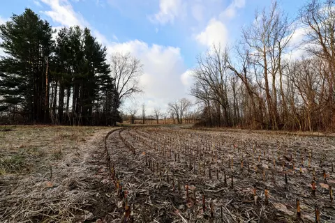 Vl W Glendora Road, Buchanan, MI 49107