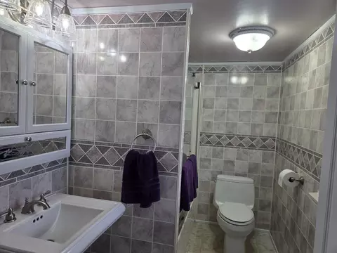 Bath - 232 Bender St, Jackson, MI 49202 photo 1 of 3
