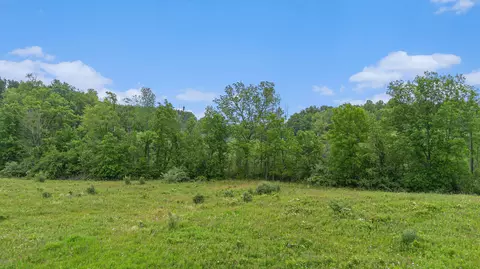 0 E Clear Lake Rd, Buchanan, MI 49107 photo 4