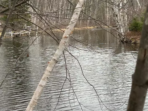 10910 Boxwood Dr # 247, Canadian Lakes, MI 49346