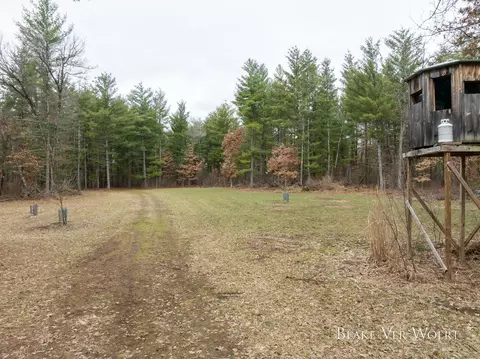 V/l 20.5a N Walnut Avenue, Bitely, MI 49309
