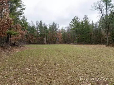 V/l 20.5a N Walnut Avenue, Bitely, MI 49309