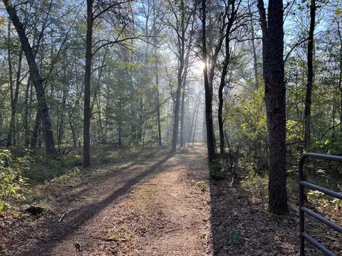 7230 S Kenwood Ave, Baldwin, MI 49304