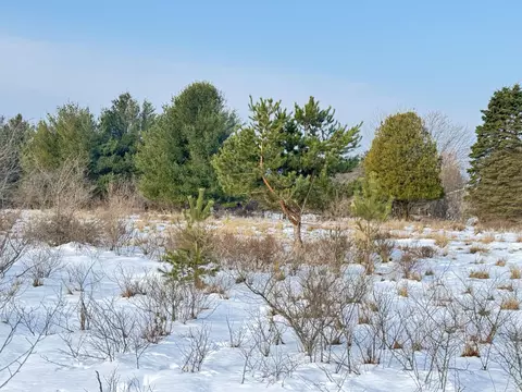 lot14 Sunset Ln, Manistee, MI 49660 photo 11
