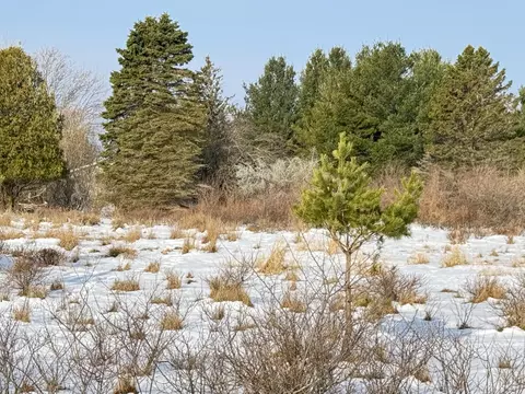 lot14 Sunset Ln, Manistee, MI 49660 photo 16
