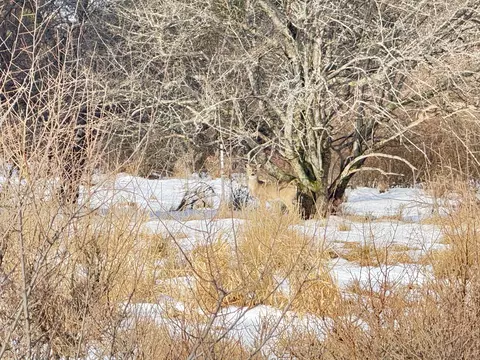 lot14 Sunset Ln, Manistee, MI 49660 photo 15