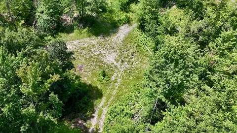 e long lake road, Harrison, MI 48625 photo 9