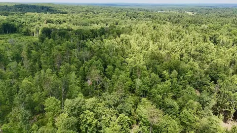 e long lake road, Harrison, MI 48625 photo 25