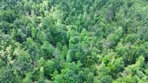 e long lake road, Harrison, MI 48625 photo 27