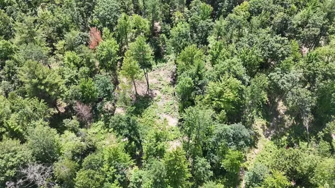 e long lake road, Harrison, MI 48625 photo 23