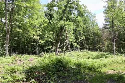 e long lake road, Harrison, MI 48625 photo 15