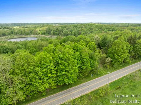 Vl Hutchinson Road, Dowling, MI 49050