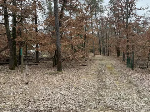 3225 W 1 12 Mile Rd, Baldwin, MI 49304