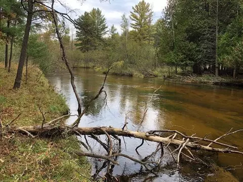 9240 W River Rd, Irons, MI 49644