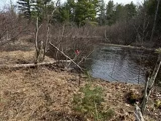 9240 W River Rd, Irons, MI 49644