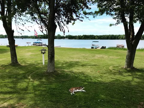 9266 E Francis Rd, Hesperia, MI 49421 photo 28