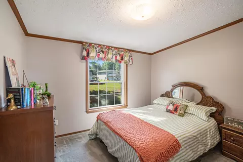 9266 E Francis Rd, Hesperia, MI 49421 photo 13